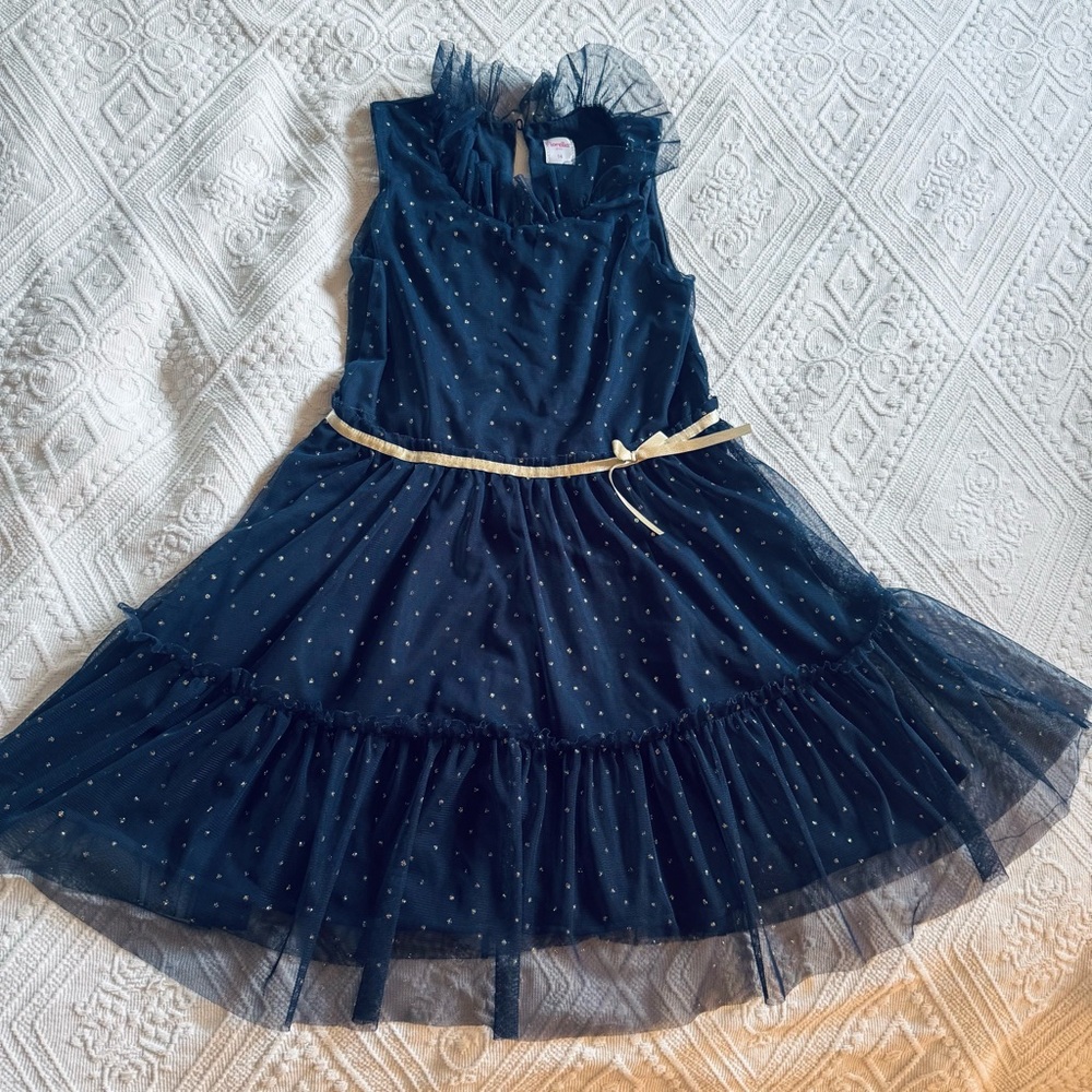 Girls Navy Blue Tulle Party Dress with Gold Accents